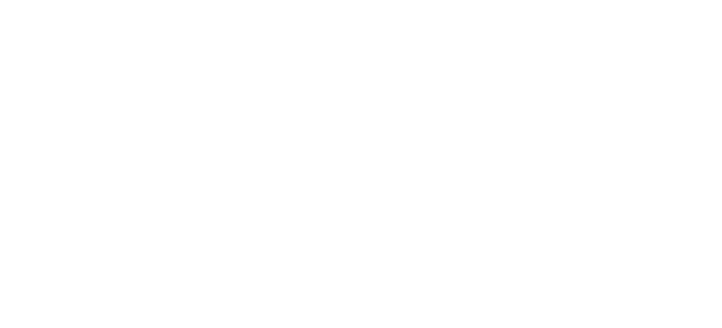 Baltic Space Systems